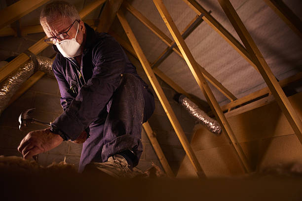 Types of Insulation We Offer in Maple Valley, WA
